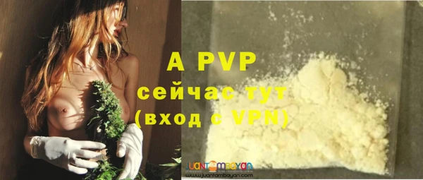 mdpv Коряжма