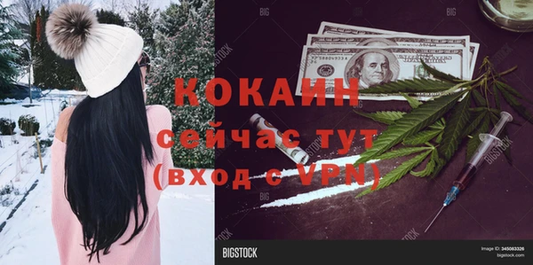 кокс Корсаков