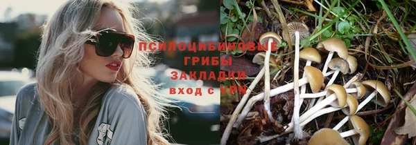 mdma Костерёво